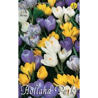   Virághagyma Krókusz Large Flowering színkeverék 10 db Rédei Kertimag
