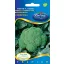 Brokkoli Fiesta F1 25 szem