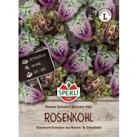 Fodros kelbimbó Autumn Star 20 szem Sperli