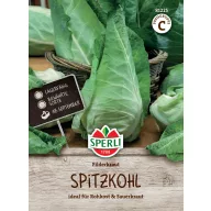 Fejekáposzta hegyes Fielderkraut 120 szem Sperli