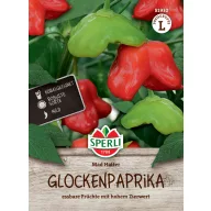   Chili-paprika (közepesen erős / harang alakú) Mad Hatter 6 szem Sperli