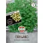 Oregánó-trió drazsírozott vetőmag Simply Herbs 15 szem Sperli