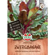 Törpe banán Coco 4 szem Sperli
