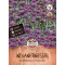 Lemon Bee Balm 200 grains Sperli