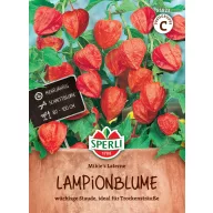 Lampionvirág Mikie's Laterne 70 szem Sperli