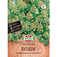 Rezeda Gartenduft 100 szem Sperli