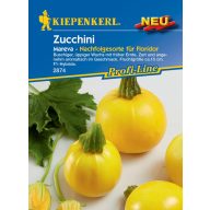 Courgette yellow Mareva 6 seeds Kiepenkerl