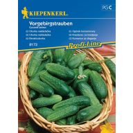 Berakouborka Vorgebigstrauben 80 grains Kiepenkerl
