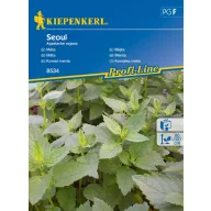 Koreai menta Seoul 100 szem Kiepenkerl