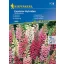 Gyűszűvirág Excelsior-Hybriden 50 szem Kiepenkerl