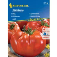 Óriásparadicsom Gigantomo Kiepenkerl 8 db