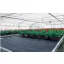 Agro fabric black 100g/m2 2.1mx50m