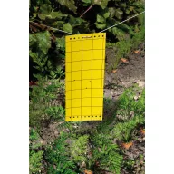 Ragasztós rovarcsapda Glued panel 10 cm x 24 cm 5 db