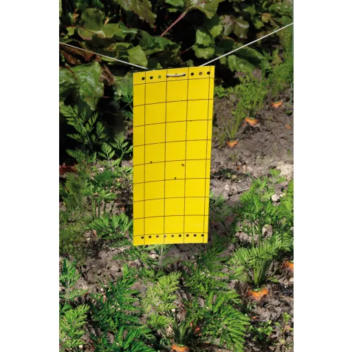 Ragasztós rovarcsapda Glued panel 10 cm x 24 cm 5 db