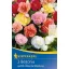 Bulb Gumy begonia (full bloom) colour mix Kiepenkerl 3 pcs
