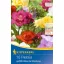 Bulb Freesia (Freesia) wildflower colour mix Kiepenkerl 10 pcs
