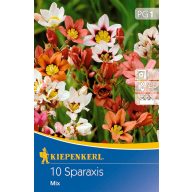   Virághagyma Sparaxis (Cigányvirág) tricolorszínkeverék Kiepenkerl 10 db