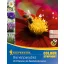 Flower bulbs Bee-feeding mix Kiepenkerl 20 pcs