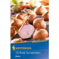 Dughagyma Salottahagyma Biztro (lila) Kiepenkerl 10 db