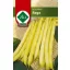 Sárgahüvelyű bokorbab Rege 75g ZKI