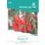 Tomato Roma VF 0,25g Royal Sluis