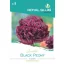 Pipacs Black Peony 0,08g Royal Sluis