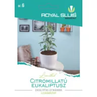 Citromillatú eukaliptusz 10 szem Royal Sluis