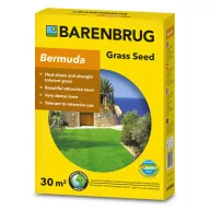 Csillagpázsit PanAm (Bermuda) Barenbrug 0,5 kg