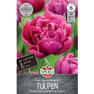 Virághagyma Tulipán teltvirágú Margarita 7 db Sperli