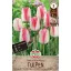 Virághagyma Tulipán Playgirl 7 db Sperli