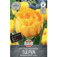   Virághagyma Tulipán teltvirágú Yellow Pompenette 7 db Sperli