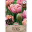Virághagyma Tulipán teltvirágú Pink Star 10 db Sperli