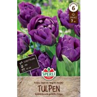   Virághagyma Tulipán teltvirágú Negrita Double 7 db Sperli