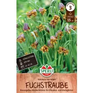 Virághagyma Asszír kockásliliom 15 db Sperli