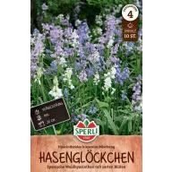 Virághagyma Spanyol kékcsengő színkeverék 10 db Sperli