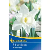   Virághagyma Trombitavirágú nárcisz Mount Hood 5 db Kiepenkerl