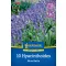 Virághagyma Angol kékcsengő Blue Bell 10 db Kiepenkerl