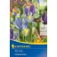 Virághagyma Iris hollandica színkeverék 10 db Kiepenkerl