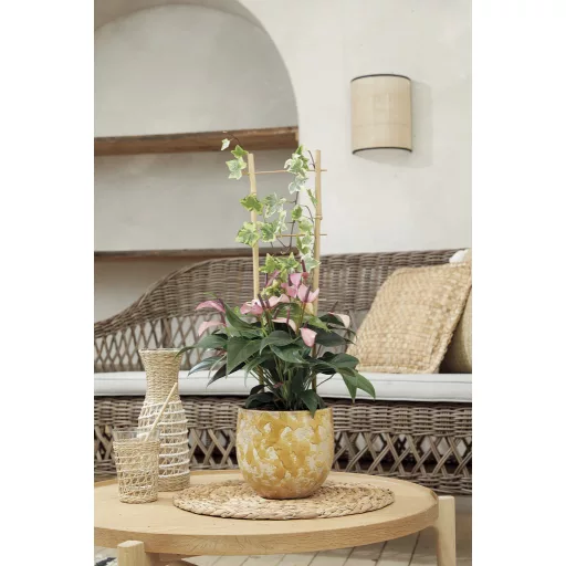 Viráglétra bambusz Echelle Bamboo 60x20 cm