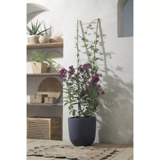 Viráglétra bambusz Echelle Bamboo 150x40 cm