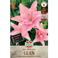 Virághagyma Liliom Elodie 2 db Sperli