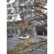 Madárriasztó arc SCARYFACE