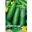 Cucumber snack organic Beth Alpha Rein Seed approx. 15 seeds