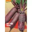 Beetroot organic Forono Rein Saat approx. 250 seeds