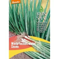 Kötözőhagyma bio Winter Hedge Cosmo Rein Saat kb. 1 g