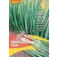 Kötözőhagyma bio Winter Hedge Cosmo Rein Saat kb. 1 g