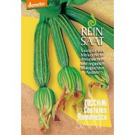 Cukkini bio Costates Romanesco Rein Saat kb. 10 db mag