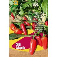 Chili paprika bio Ruben jalapeno Rein Saat kb. 30 db mag