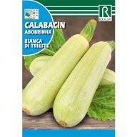 Courgettes Bianca di Trieste Rocalba 8 g