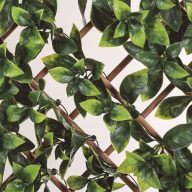   Bambusz apácarács díszlevelekkel TRELLIBAMBU BUXUS zöld-barna 1 x 2 m